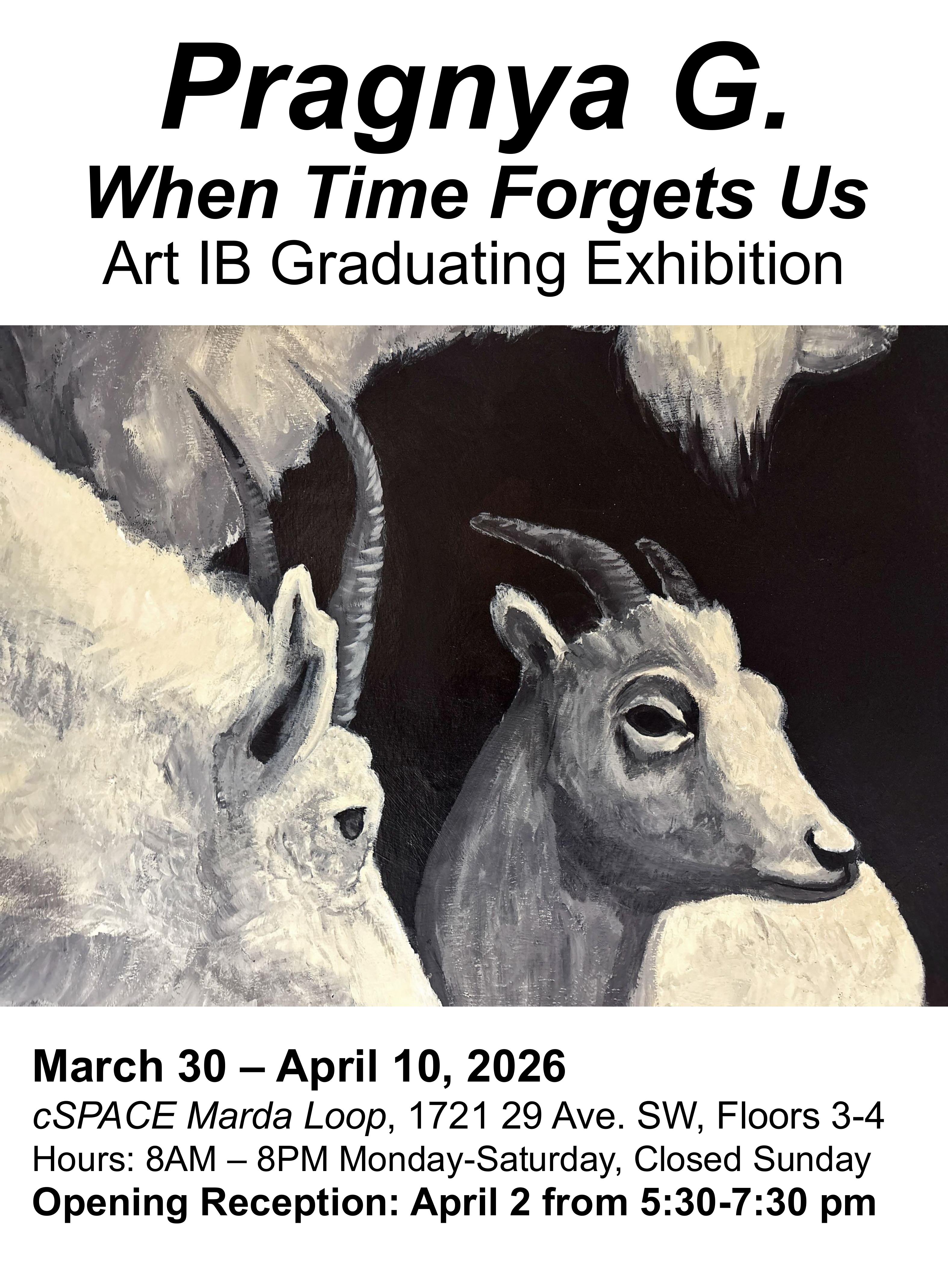 ART IB Posters group 2026 images 5