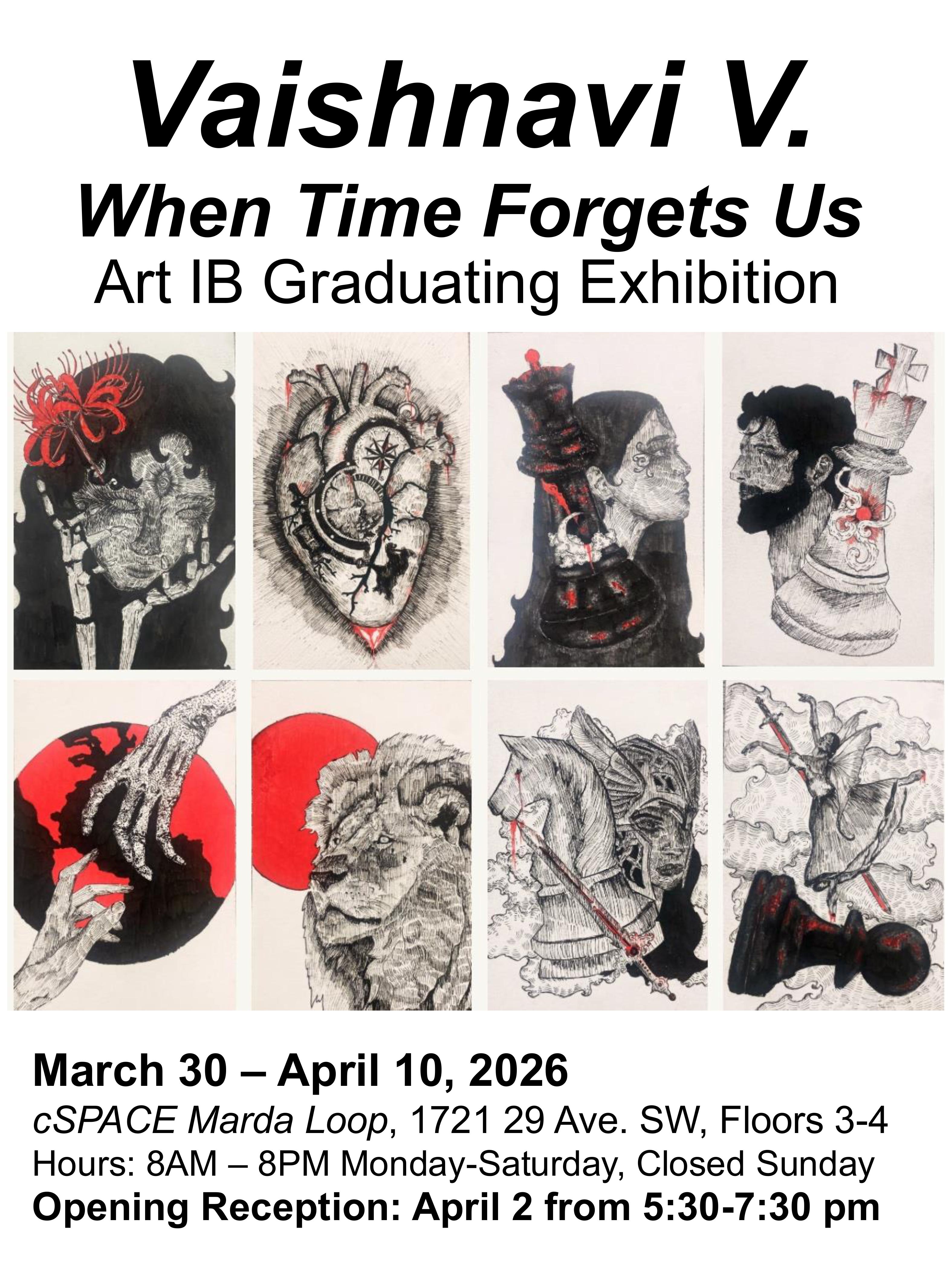 ART IB Posters group 2026 images 17