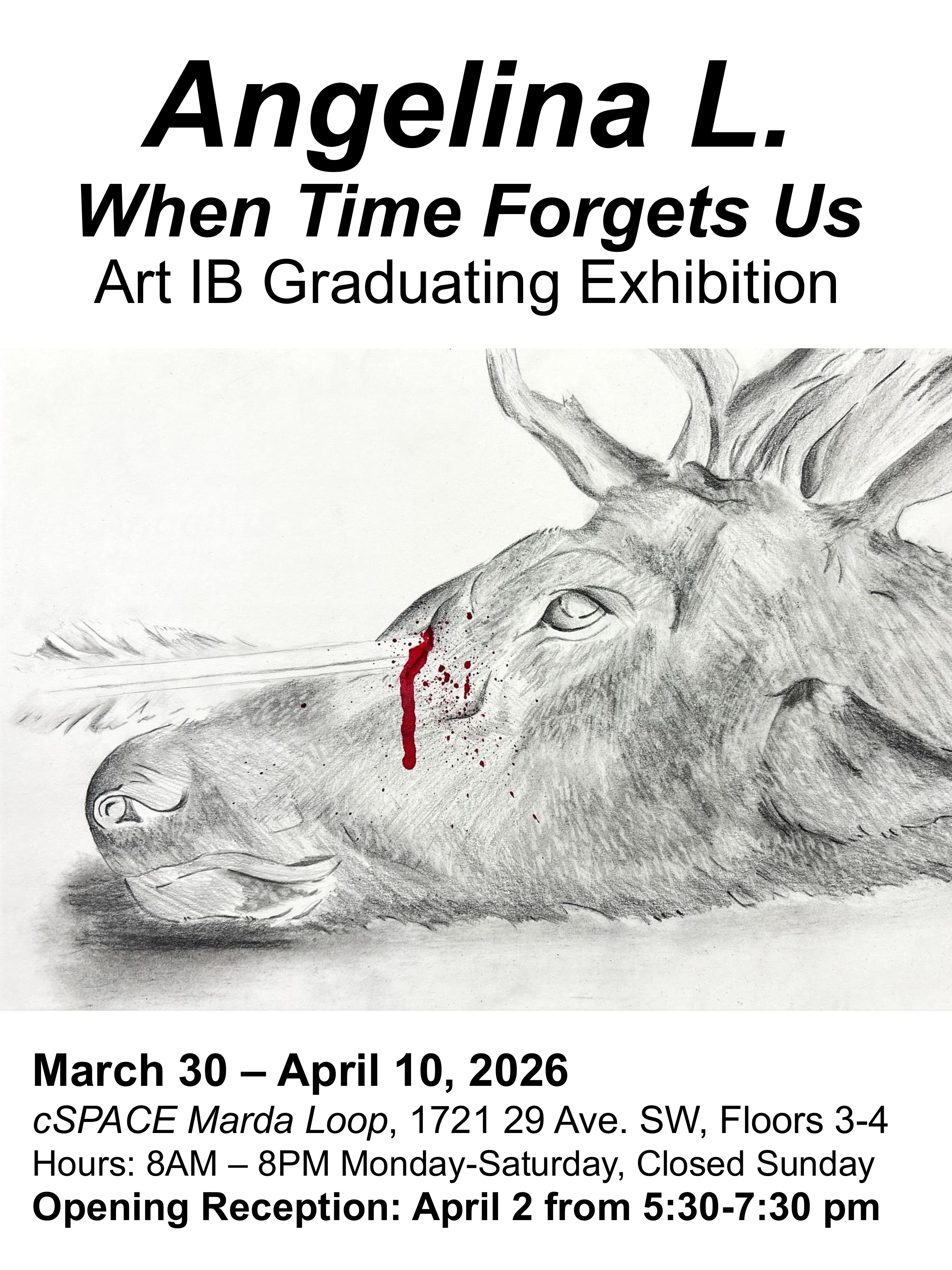 ART IB Posters group 2026 images 8