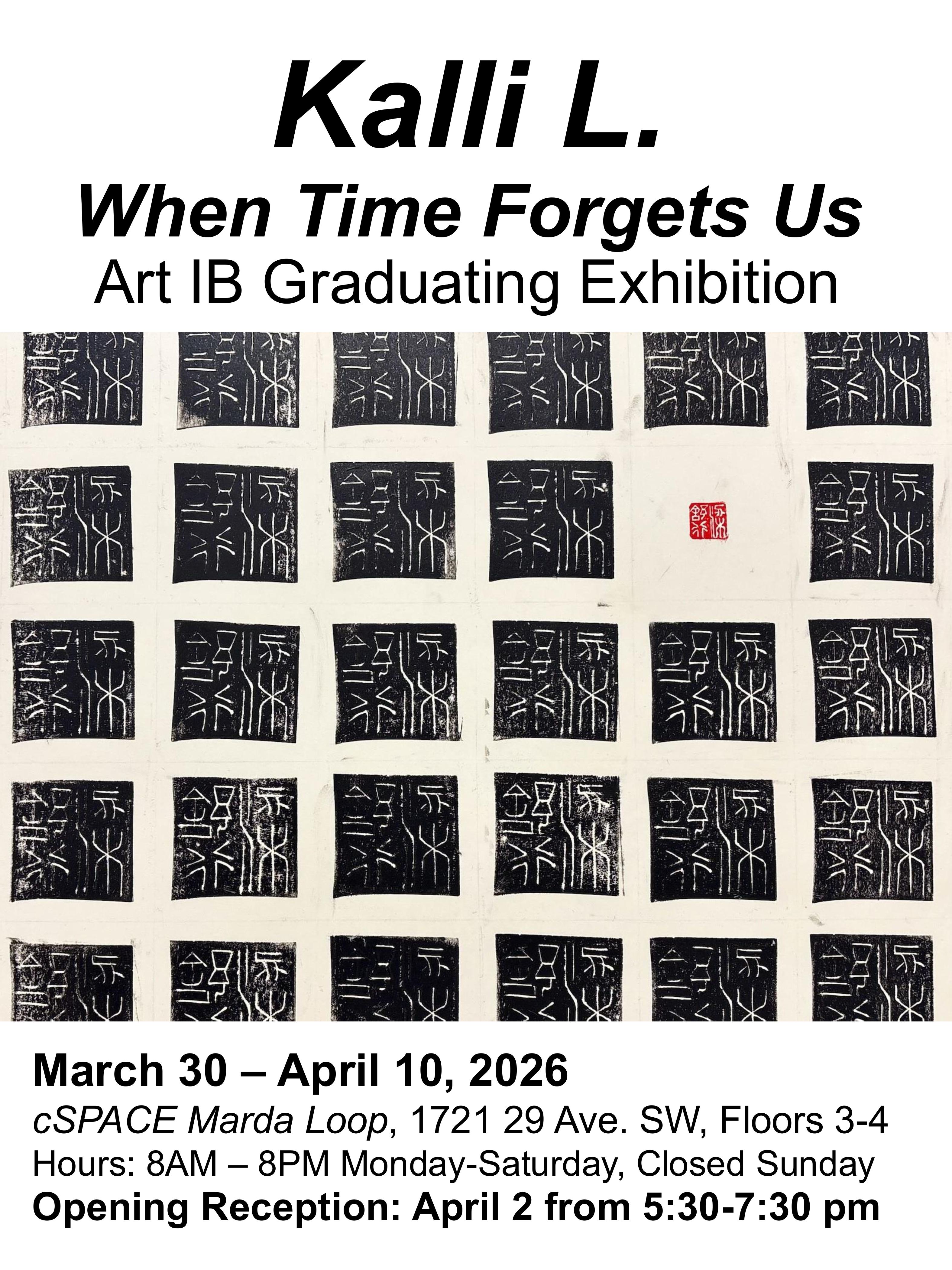 ART IB Posters group 2026 images 9