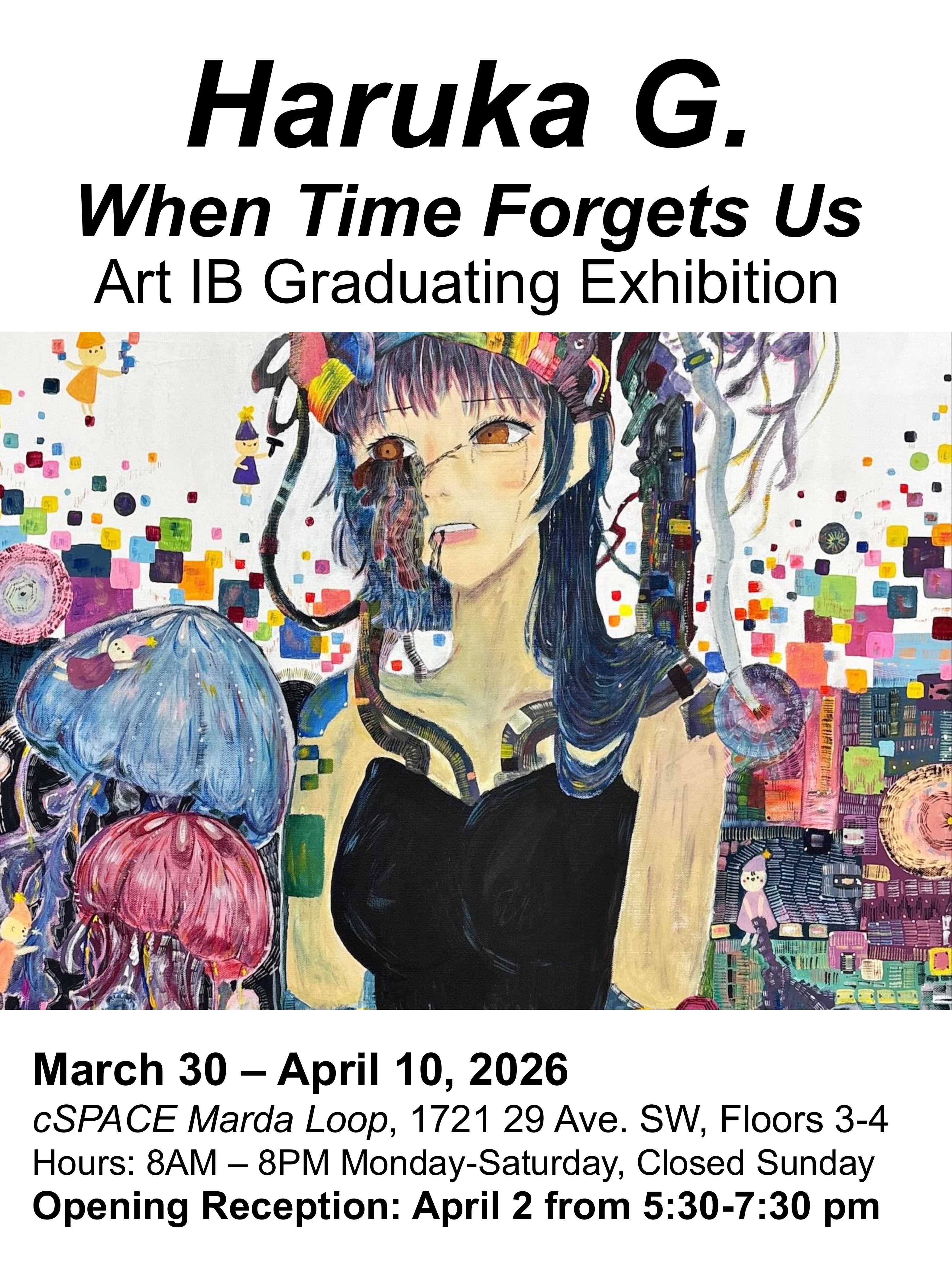 ART IB Posters group 2026 images 4