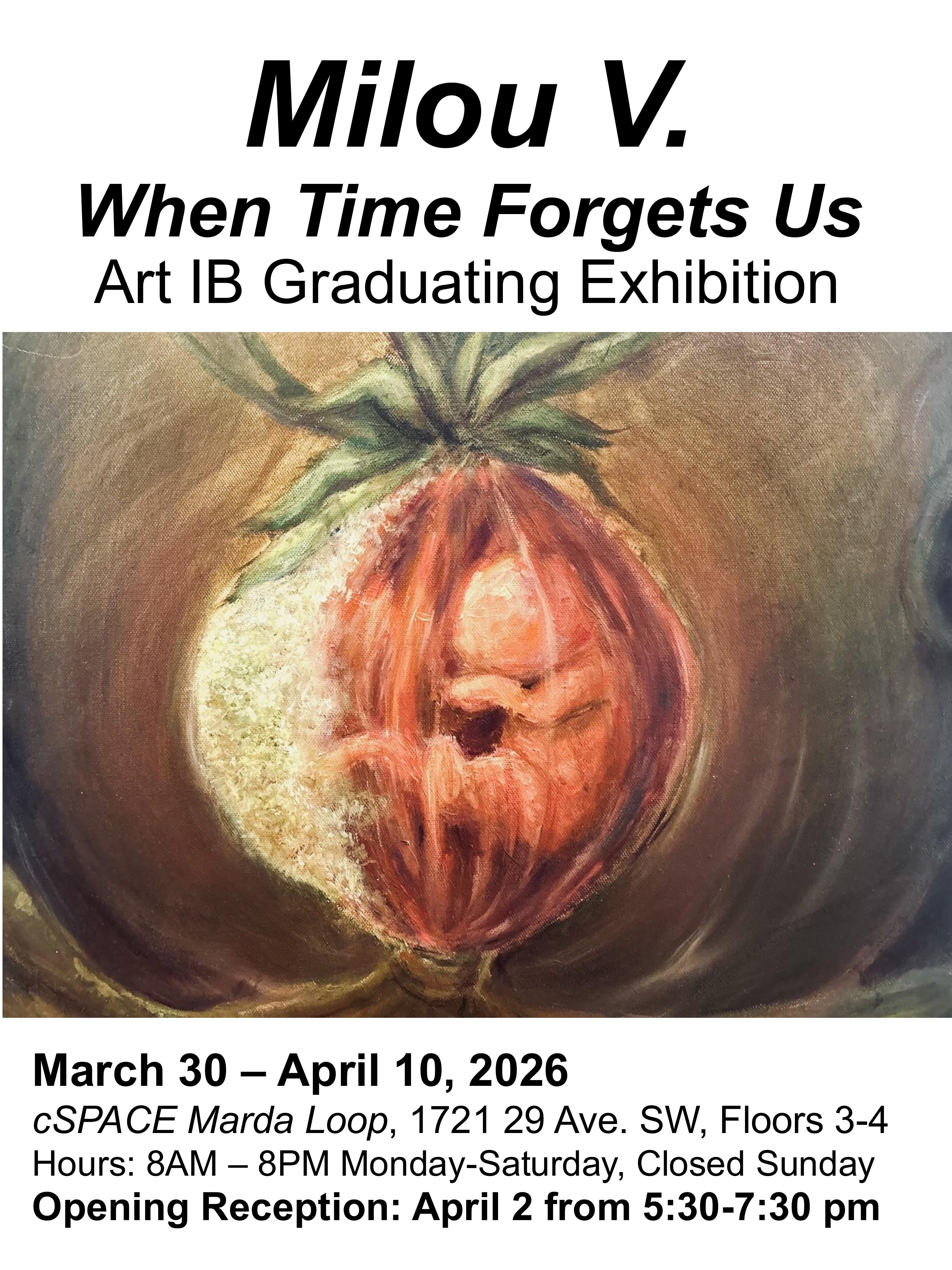 ART IB Posters group 2026 images 16