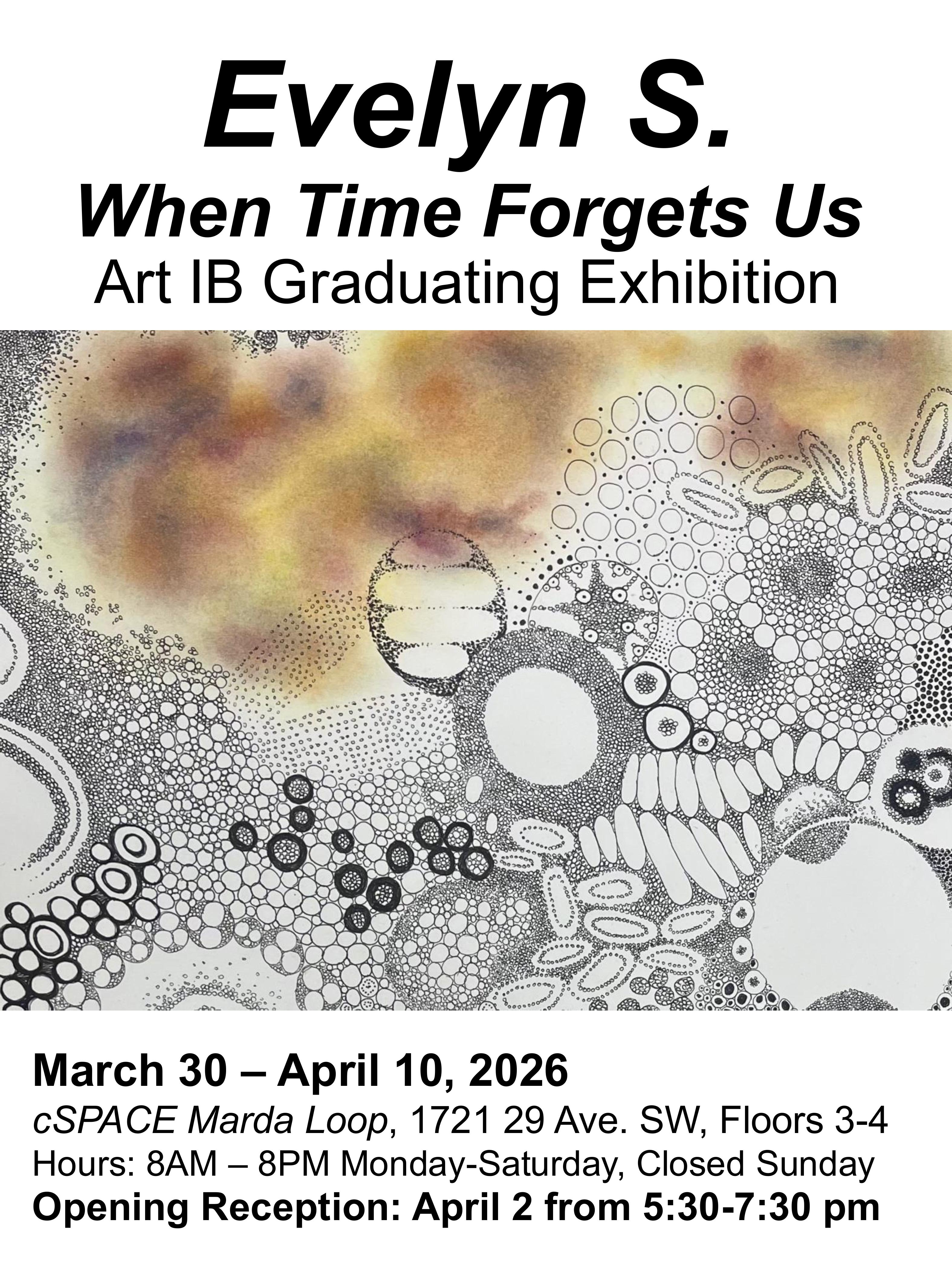 ART IB Posters group 2026 images 14