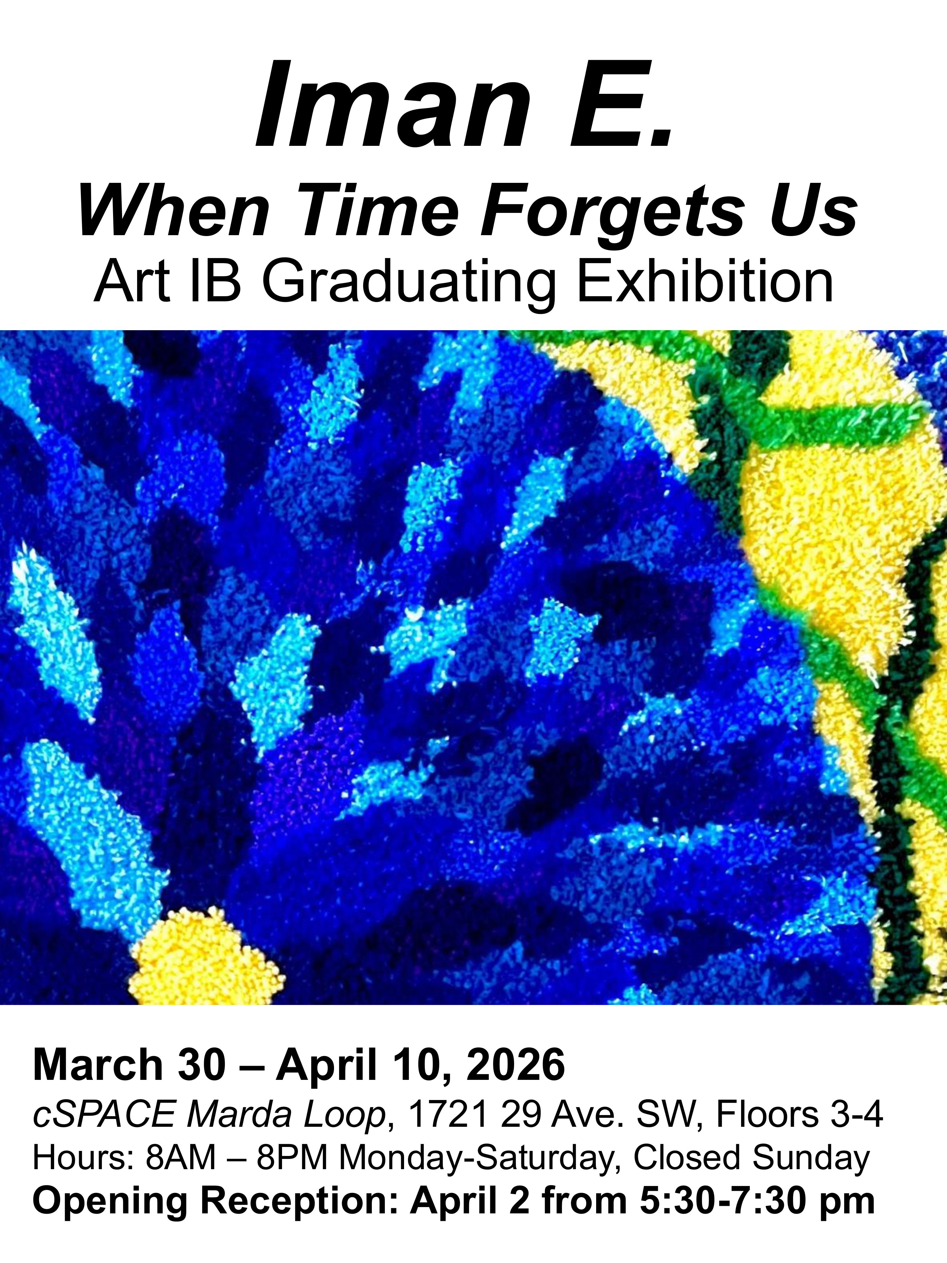 ART IB Posters group 2026 images 3