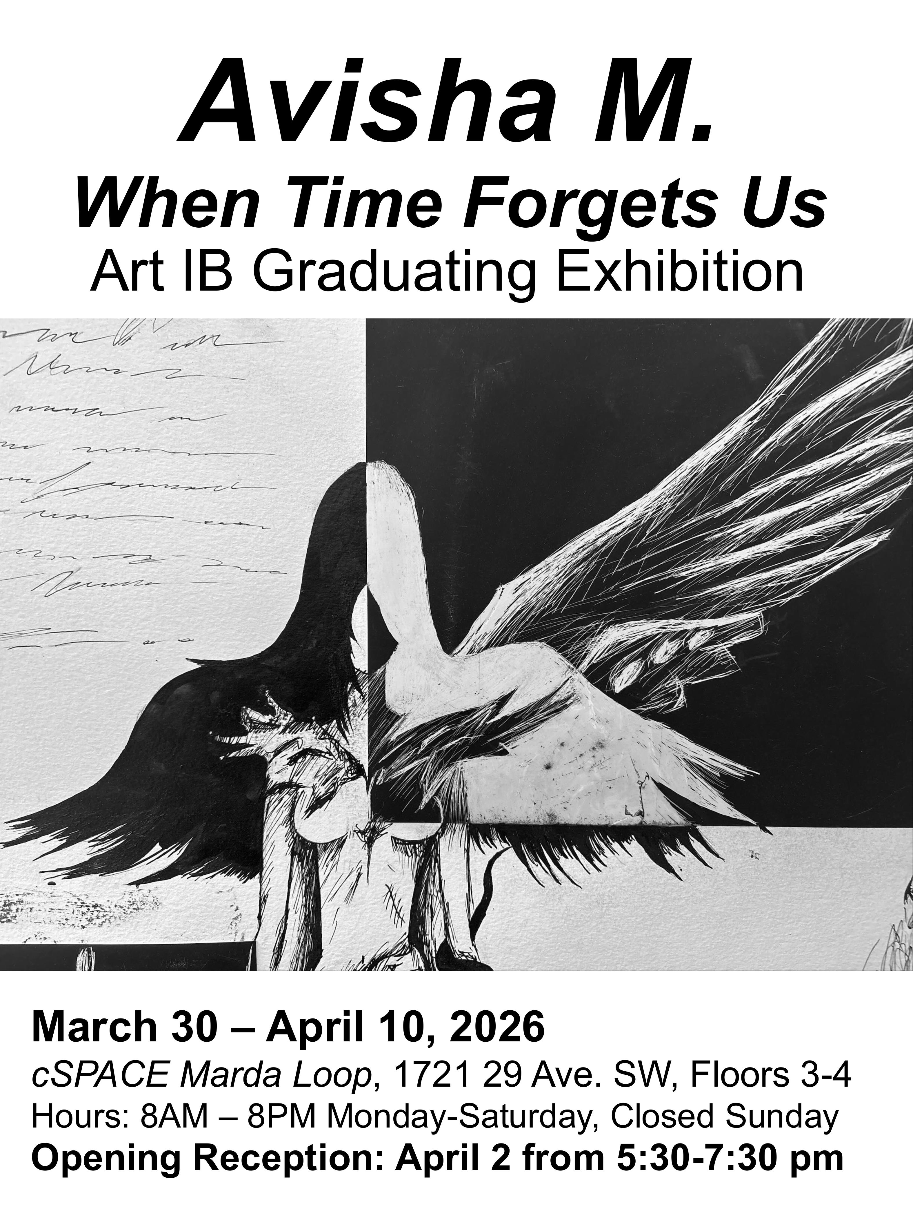 ART IB Posters group 2026 images 11